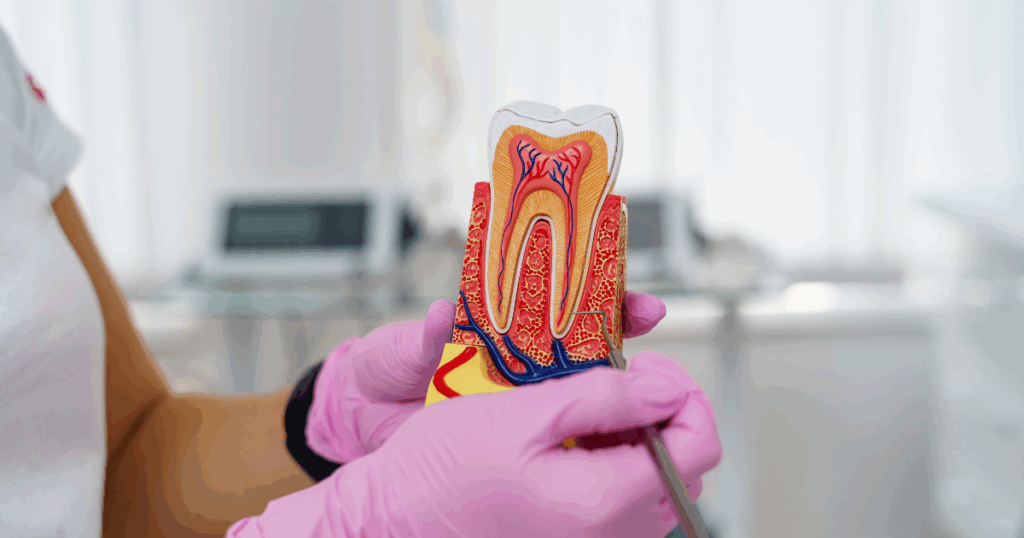 Close-up of dental tools used for Root Canal procedure